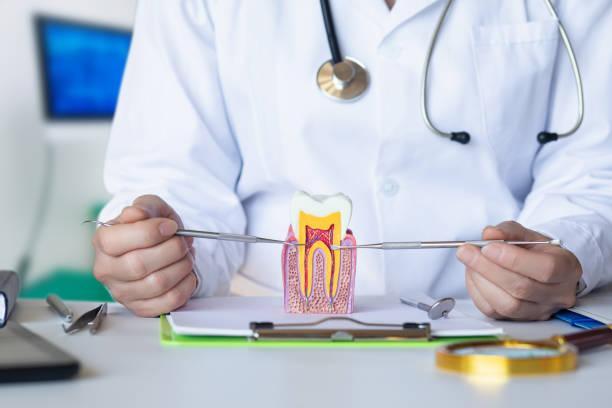 Best Urgent Dental Care for Toothache in Fannett, TX